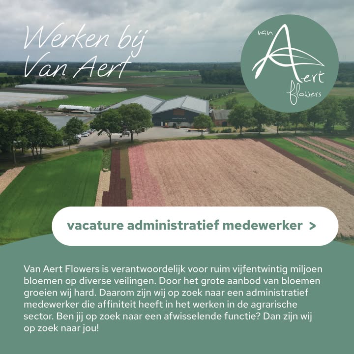 Van Aert Flowers