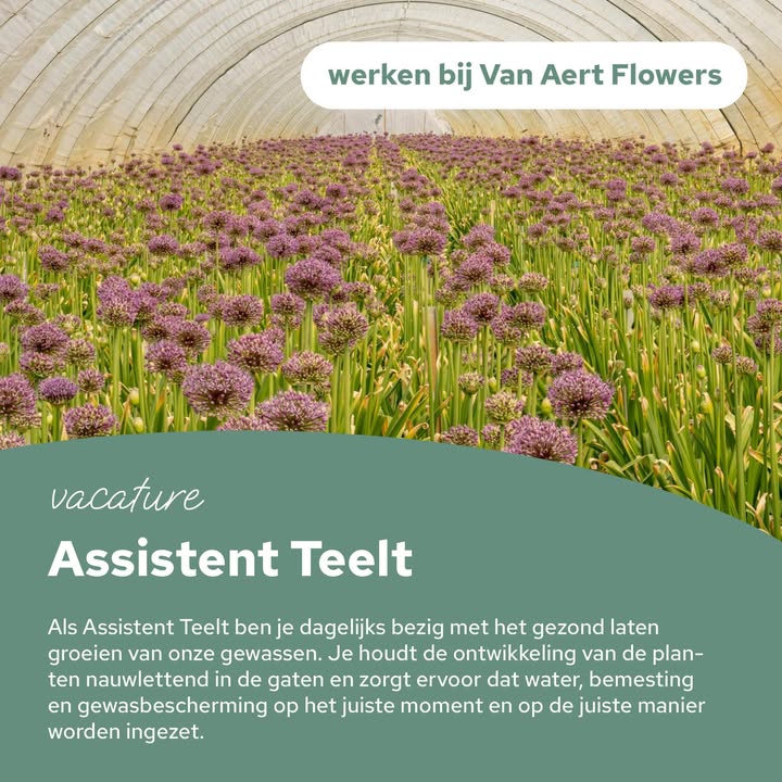 Van Aert Flowers